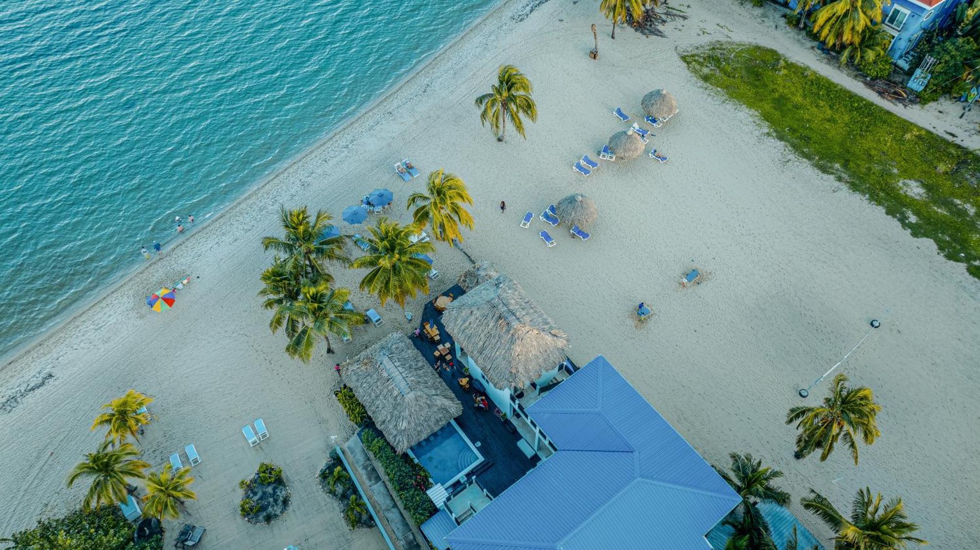 Ocean Breeze Otel Placencia Dış mekan fotoğraf